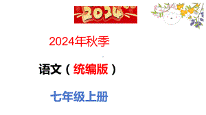 18 我的白鸽 ppt课件(共29张PPT)-（2024）统编版七年级上册《语文》.pptx