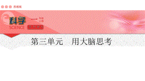 2024新苏教版一年级上册《科学》第三单元《用大脑思考》单元解析ppt课件(共31张PPT).pptx