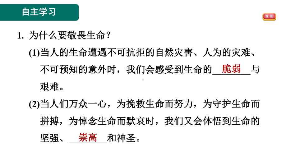 第八课　生命可贵　第2课时　敬畏生命　预习训练课件-2024-2025-统编版（2024）道德与法治七年级上册.pptx_第3页