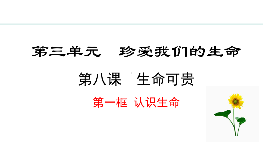 8.1 认识生命 ppt课件（23张PPT）-（部）统编版七年级上册《道德与法治》.pptx_第2页