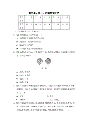 2024新人教版七年级上册《生物》第二单元第三、四章学情评估（含答案）.doc