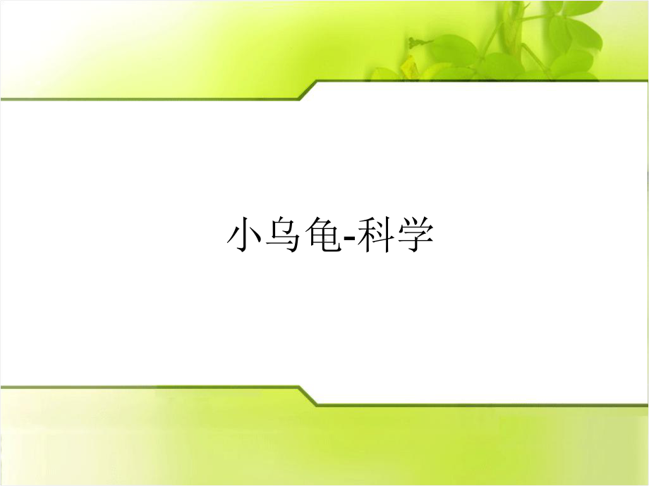 幼儿园小班科学小乌龟.ppt_第1页