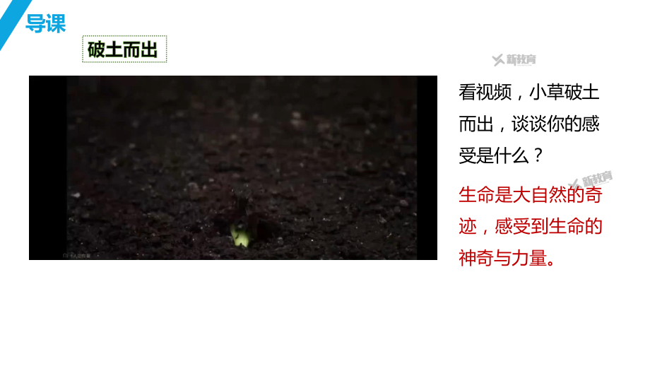 8.1 认识生命 ppt课件 -（2024新部编）统编版七年级上册《道德与法治》.pptx_第1页