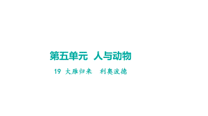 19 大雁归来 学案课件 2024-2025-统编版（2024）语文七年级上册.pptx