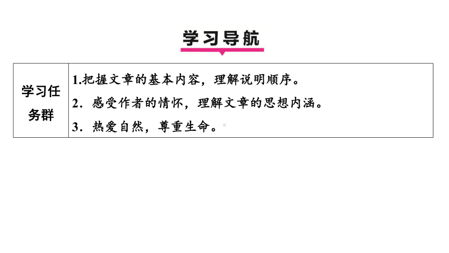 19 大雁归来 学案课件 2024-2025-统编版（2024）语文七年级上册.pptx_第3页