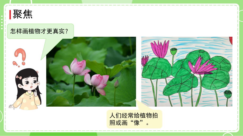 1.4 给植物画张“像”ppt课件 (共9张PPT)-2024新教科版一年级上册《科学》.pptx_第2页