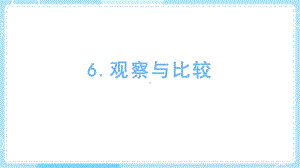 2.6 观察与比较ppt课件 (共9张PPT)-2024新教科版一年级上册《科学》.pptx