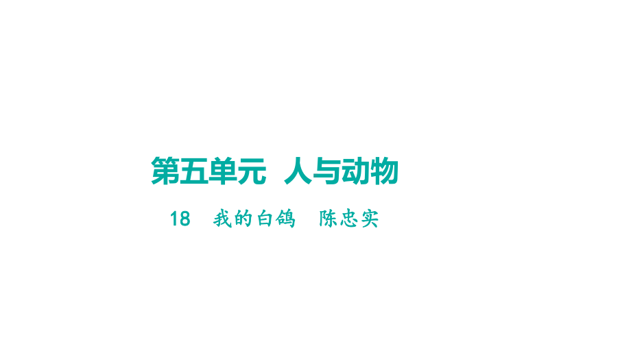 18我的白鸽 学案课件 2024-2025-统编版（2024）语文七年级上册.pptx_第1页