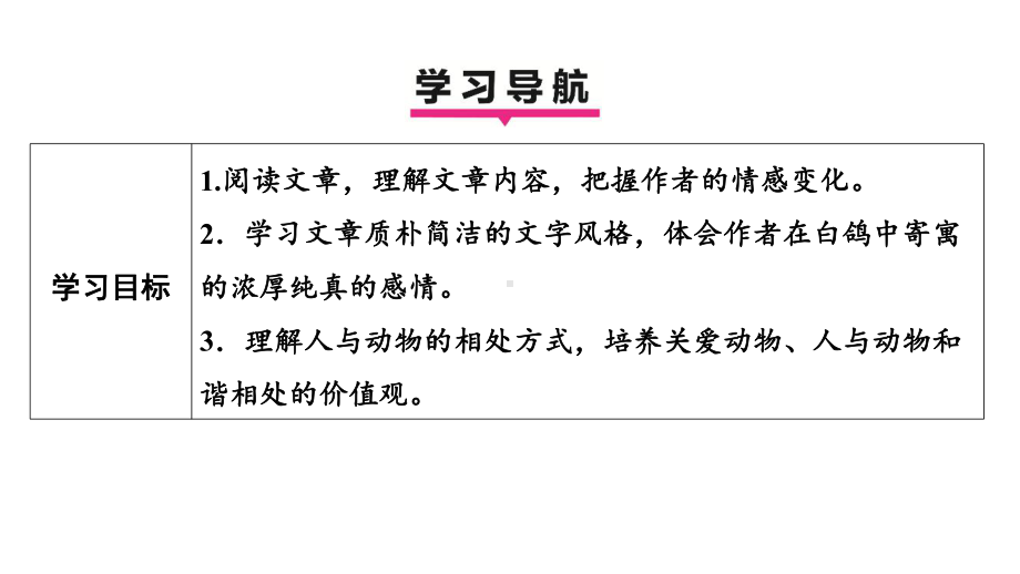 18我的白鸽 学案课件 2024-2025-统编版（2024）语文七年级上册.pptx_第3页