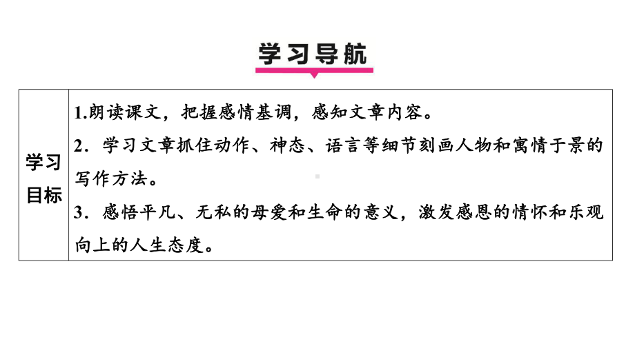 5秋天的怀念 学案课件 2024-2025-统编版（2024）语文七年级上册.pptx_第3页