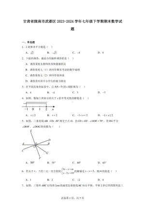 甘肃省陇南市武都区2023-2024学年七年级下学期期末数学试题.pdf