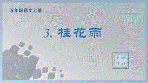 3.桂花雨 生字ppt课件-（部编）统编版五年级上册《语文》.pptx