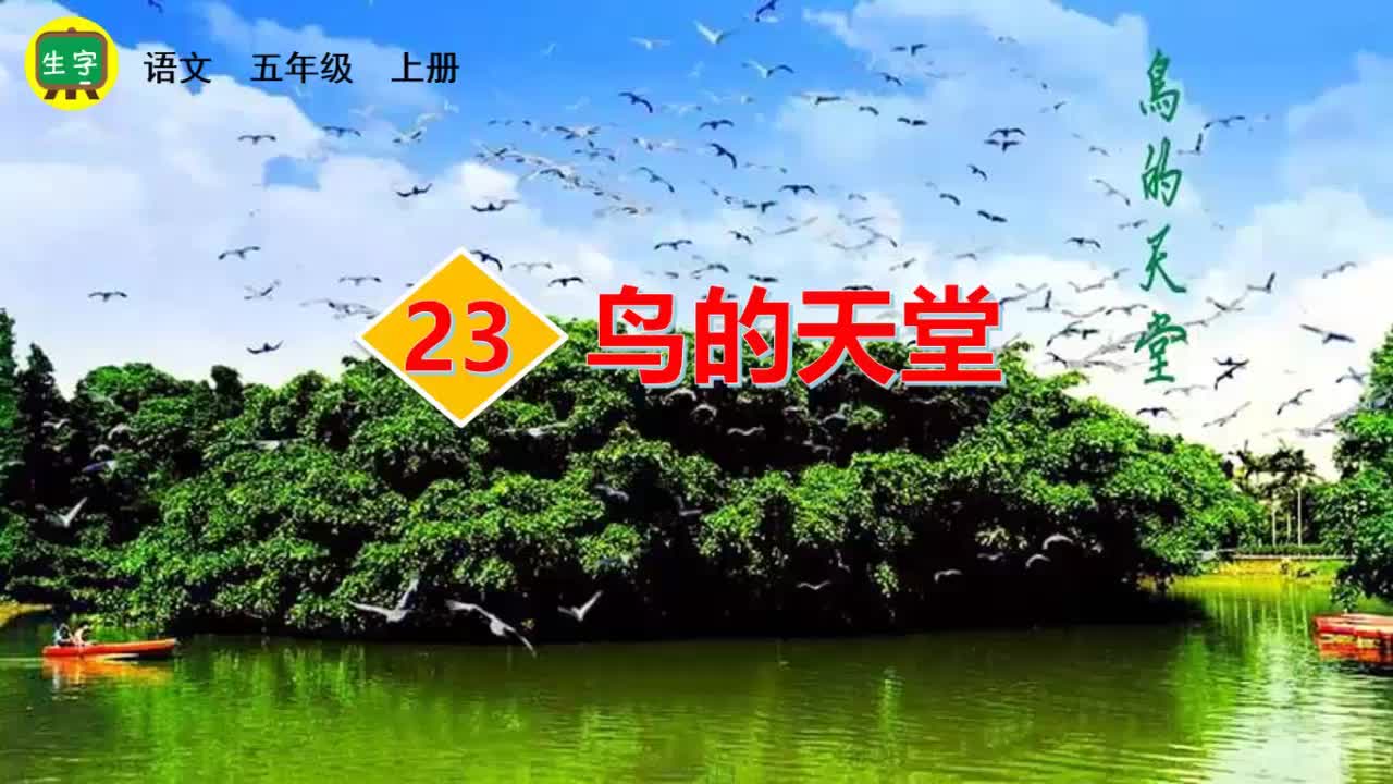 23鸟的天堂 生字视频-（部编）统编版五年级上册《语文》.mp4