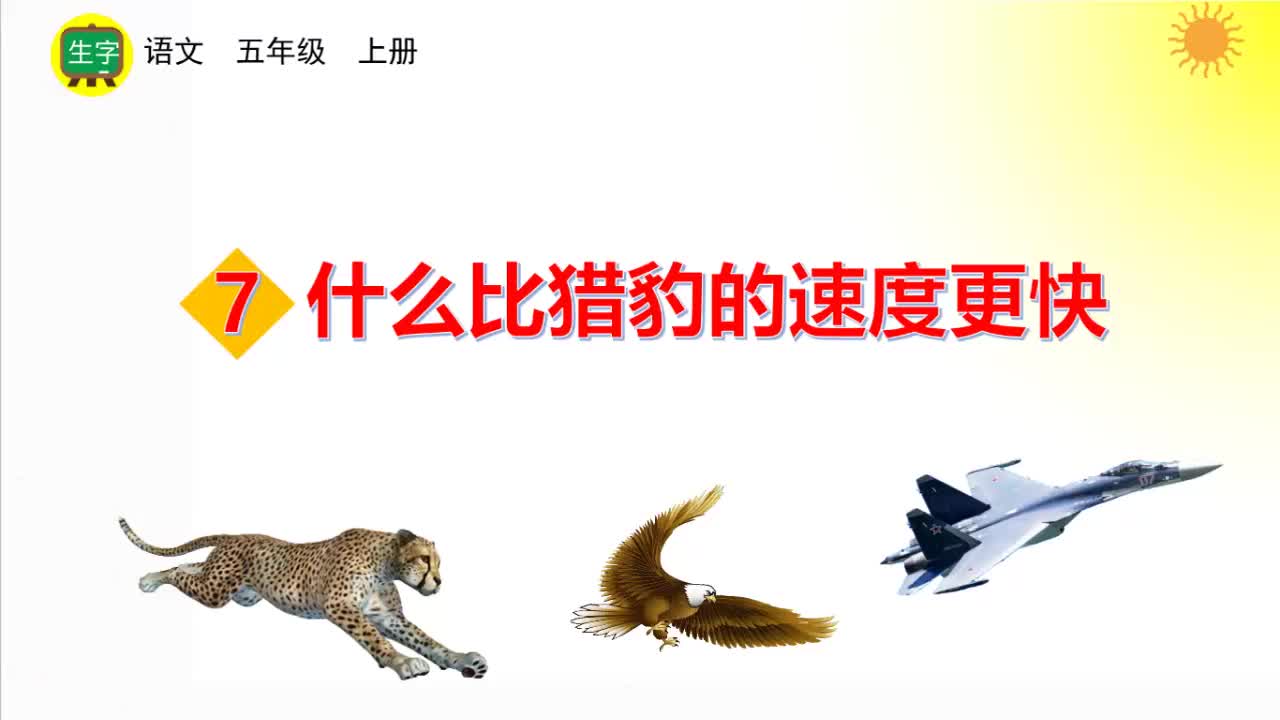 07什么比猎豹的速度更快 生字视频-（部编）统编版五年级上册《语文》.mp4