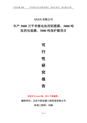 年产3000万平米锂电池用铝塑膜、3000吨医药包装膜、3000吨保护膜项目可行性研究报告模板-立项报告定制.doc
