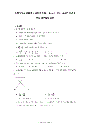 上海市青浦区教师进修学院附属中学2021-2022学年九年级上学期期中数学试题.pdf