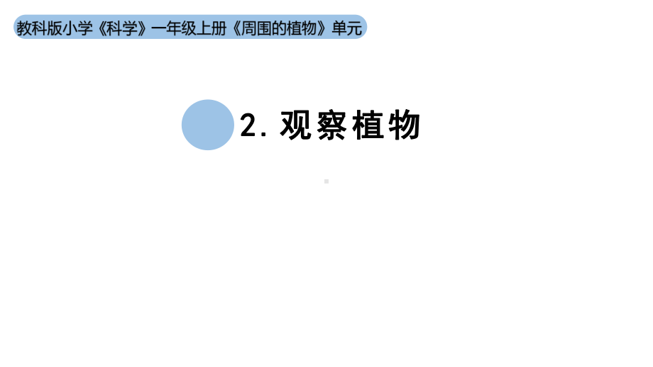 小学科学新教科版一年级上册第一单元第2课《观察植物》教学课件（2024秋）.pptx_第1页