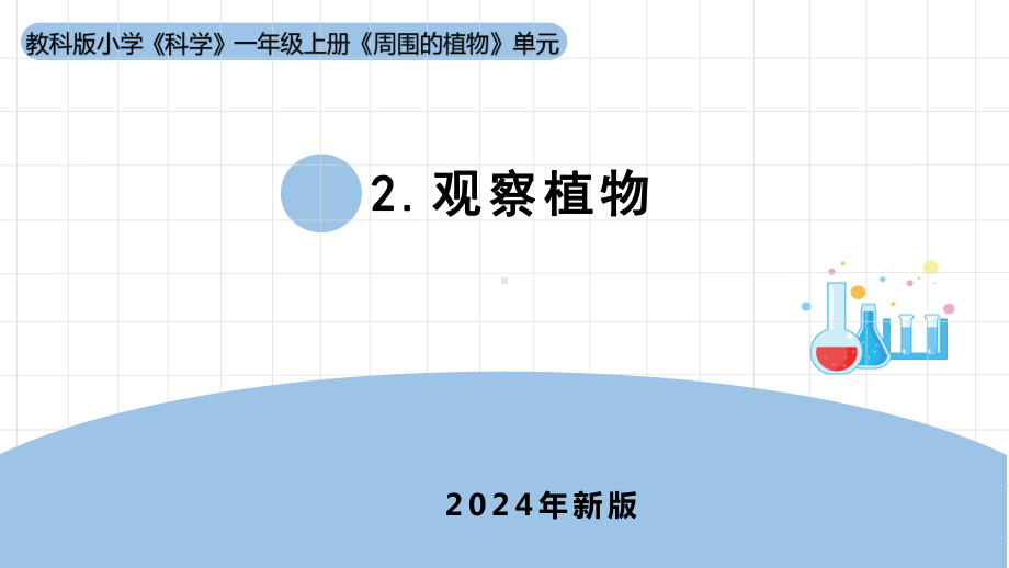 1.2《观察植物》ppt课件-（2024新教材)教科版一年级上册《科学》.pptx_第1页