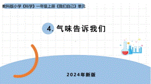 2.4《气味告诉我们》ppt课件-（2024新教材)教科版一年级上册《科学》.pptx