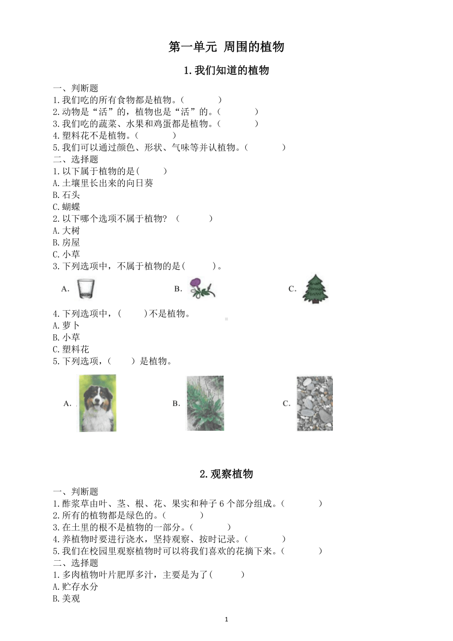 小学科学新教科版一年级上册第一单元《周围的植物》课课练（附参考答案）（2024秋）.doc_第1页