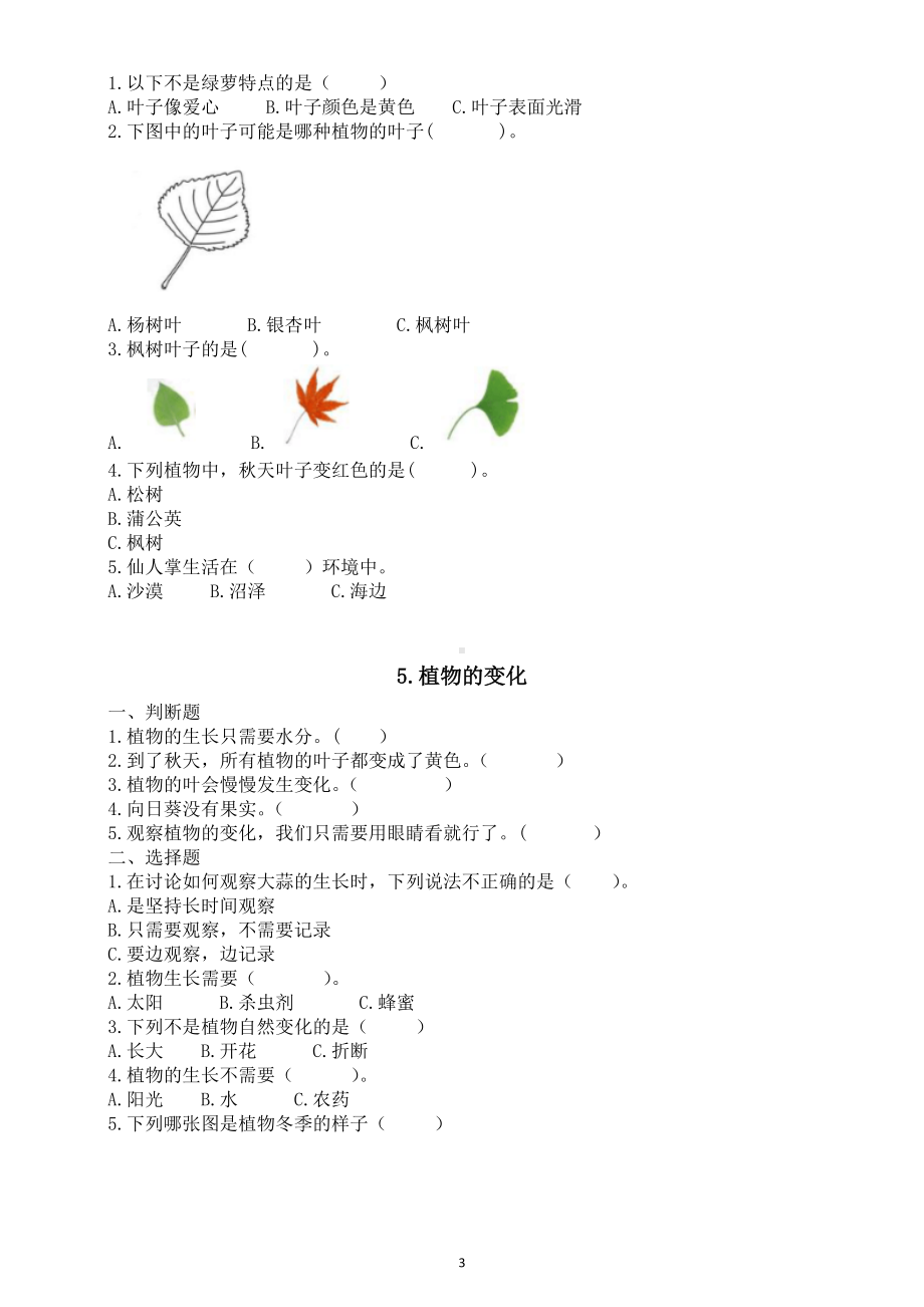 小学科学新教科版一年级上册第一单元《周围的植物》课课练（附参考答案）（2024秋）.doc_第3页