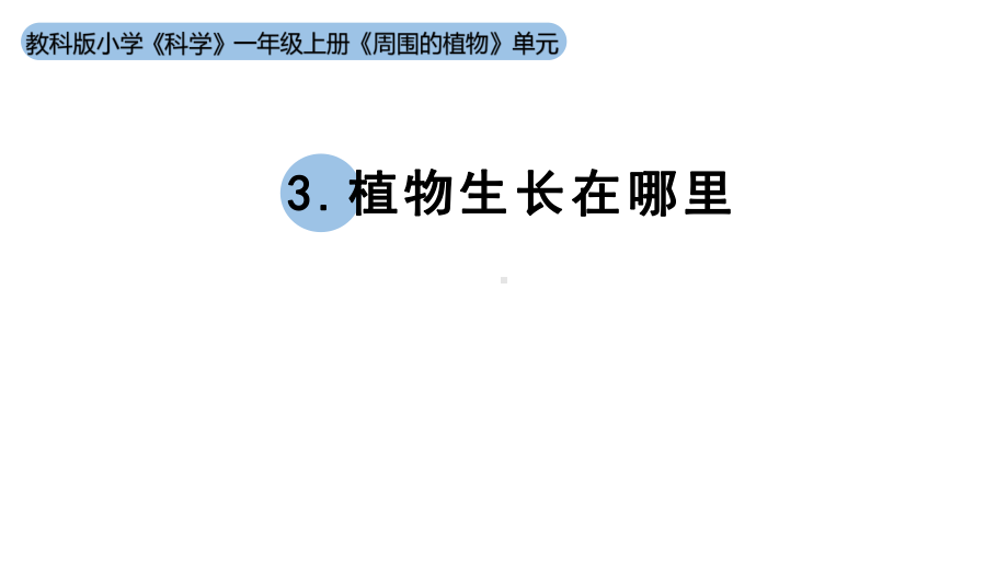 小学科学新教科版一年级上册第一单元第3课《植物长在哪里》教学课件（2024秋）.pptx_第1页