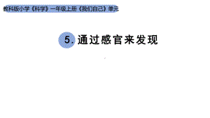 小学科学新教科版一年级上册第二单元第5课《通过感官来发现》教学课件（2024秋）.pptx