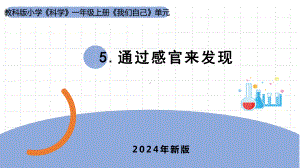 2.5《通过感官来发现》ppt课件-（2024新教材)教科版一年级上册《科学》.pptx