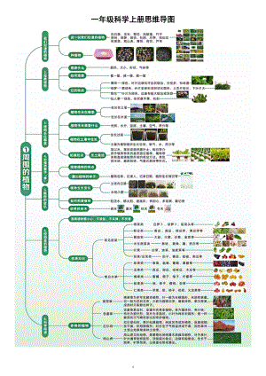 小学科学新教科版一年级上册思维导图（2024秋）.doc