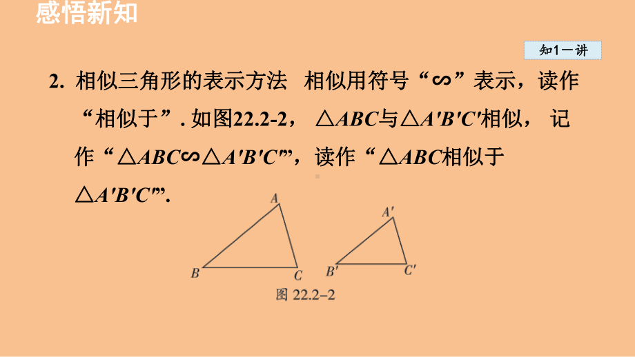 22.2 相似三角形的判定（课件）2024-2025-沪科版数学九年级上册.pptx_第3页