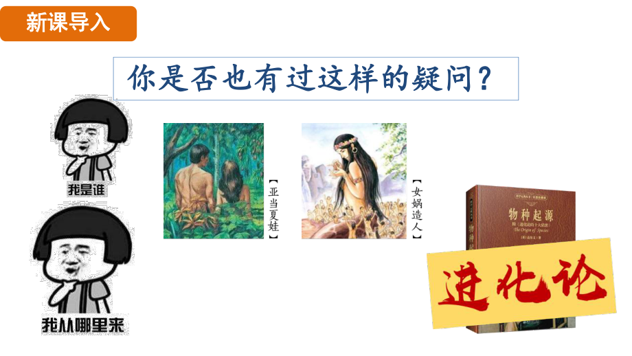 1.1远古时期的人类活动 ppt课件-（2024新部编）统编版七年级上册《历史》.pptx_第3页