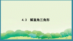 4.3 解直角三角形 （课件）2024-2025湘教版 数学九年级上册.pptx