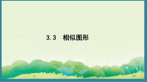 3.3 相似图形 （课件）2024-2025湘教版 数学九年级上册.pptx