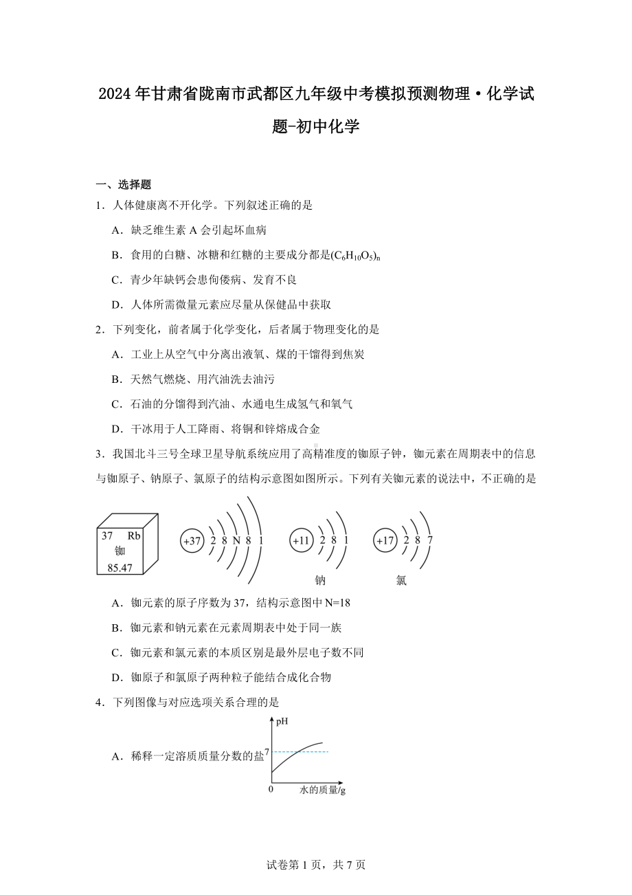 2024年甘肃省陇南市武都区九年级中考模拟预测物理化学试题-初中化学.docx_第1页