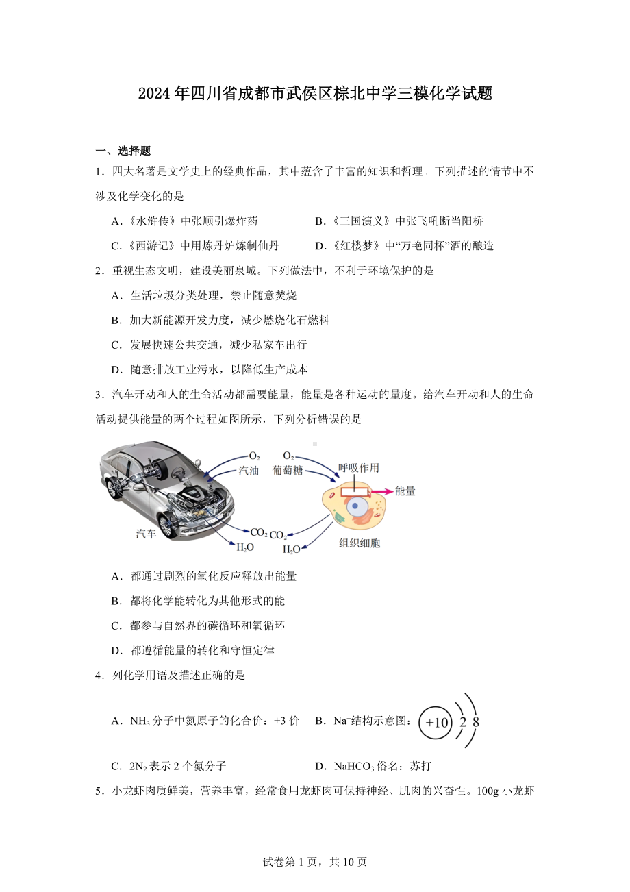 2024年四川省成都市武侯区棕北中学三模化学试题.docx_第1页