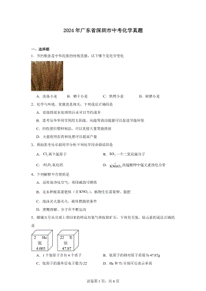 2024年广东省深圳市中考化学真题.docx