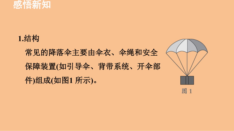 1.3跨学科实践：降落伞（课件）2024-2025-教科版（2024）物理八年级上册.pptx_第3页