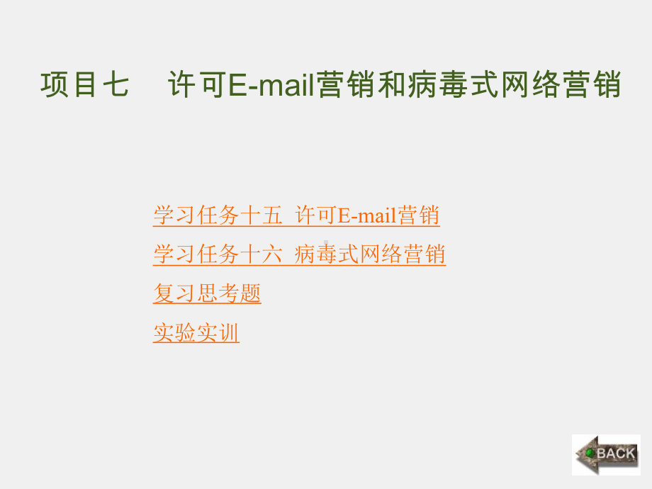 《网络营销理论与实务》课件项目7.ppt_第1页