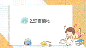 小学科学新教科版一年级上册第一单元第2课《观察植物》教学课件3（2024秋）.pptx