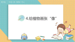 1.4给植物画张“像”ppt课件-（2024新教材）教科版一年级上册科学.pptx