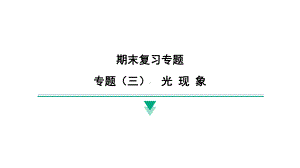 2024新北京课改版八年级全一册《物理》期末专题复习 专题（三）　光 现 象 ppt课件.pptx