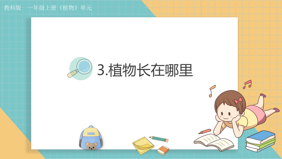 1.3植物长在哪里ppt课件(含视频)-（2024新教材）教科版一年级上册科学.pptx_第1页