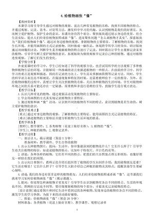 小学科学新教科版一年级上册第一单元第4课《给植物画张“像”》教案3（2024秋）.doc