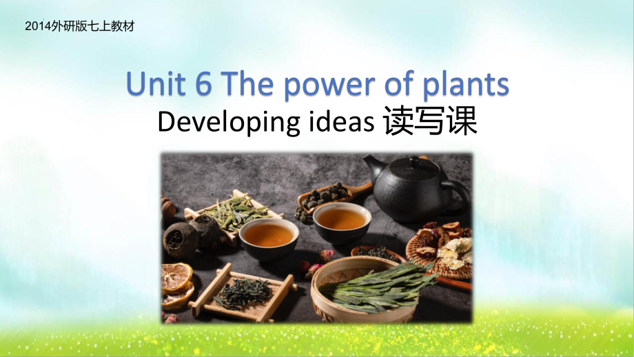 Unit 6 developing ideas 读写课（ppt课件） -2024新外研版七年级上册《英语》.pptx_第1页