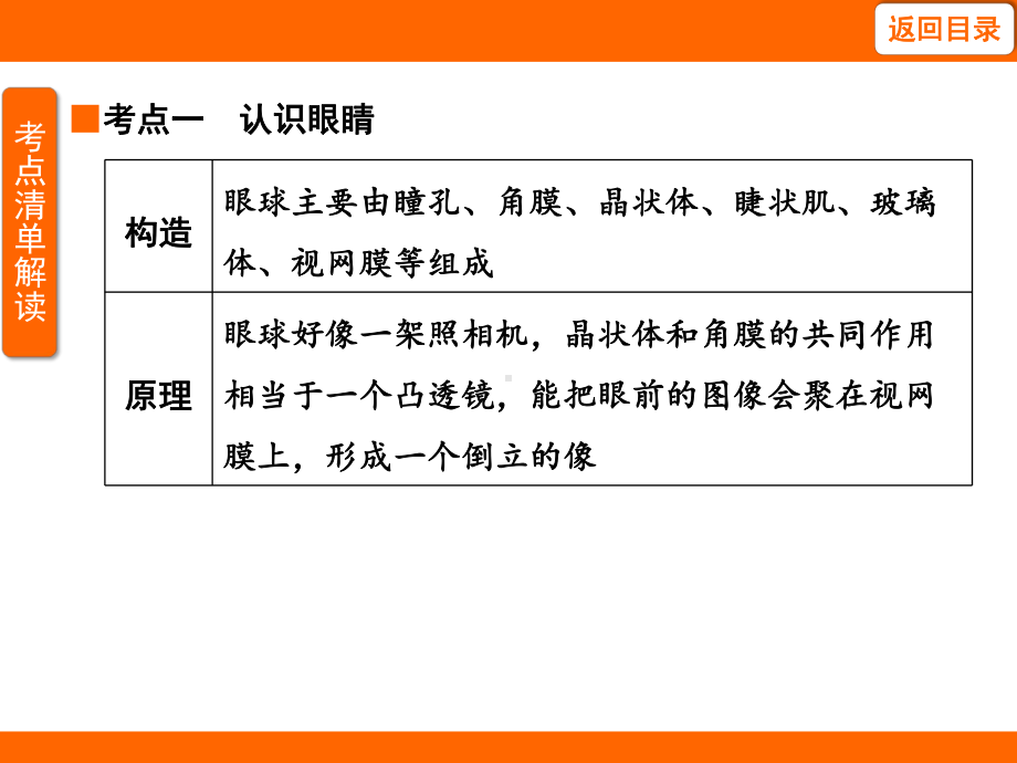 4.6 跨学科实践：眼睛 考点梳理及突破（课件）教科版（2024）物理八年级上册.pptx_第3页