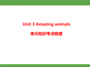 2024新人教PEP版三年级上册《英语》Unit 3 Amazing animals单元知识考点梳理（ppt课件）.pptx