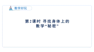 数学好玩- 寻找身体上的数学“秘密”（课件）2024-2025-北师大版数学二年级上册.pptx