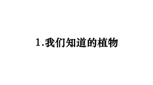 小学科学新教科版一年级上册第一单元第1课《我们知道的植物》教学课件3（2024秋）.pptx