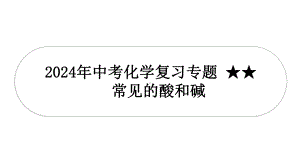 2024年中考化学复习专题常见的酸和碱.pptx