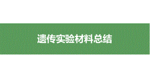 2024届高三一轮复习生物：高中生物遗传实验材料总结课件.pptx